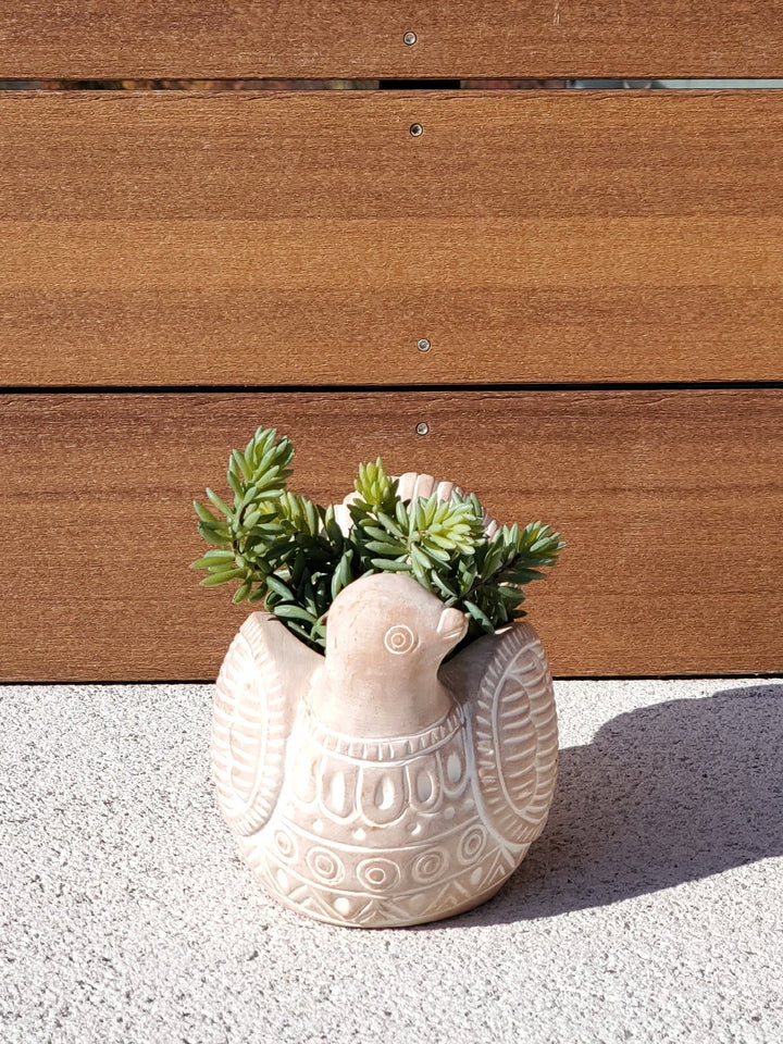 Terracotta Pot - Turtle Dove